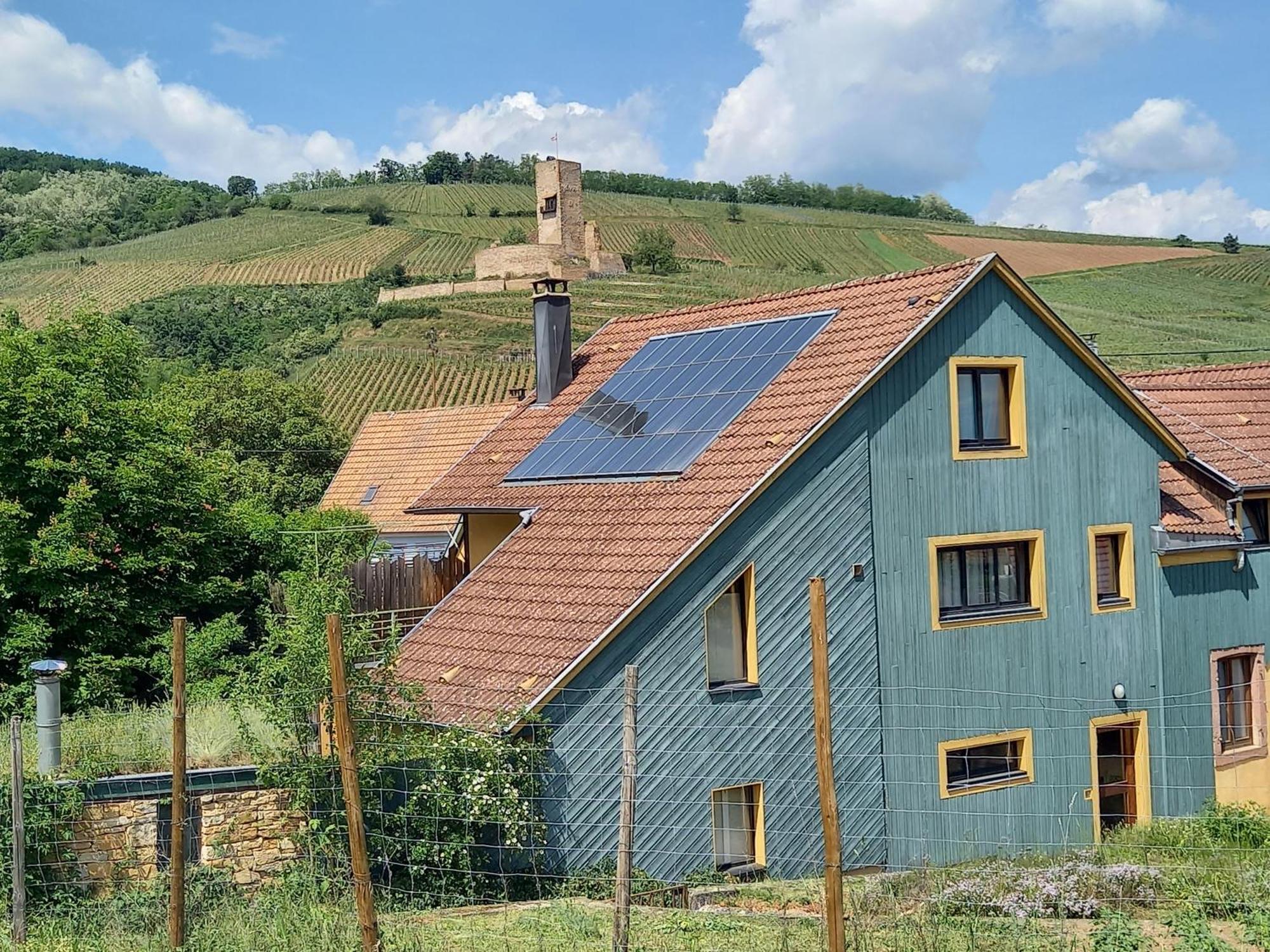 Ecologis Du Vignoble Villa Katzenthal Exterior foto