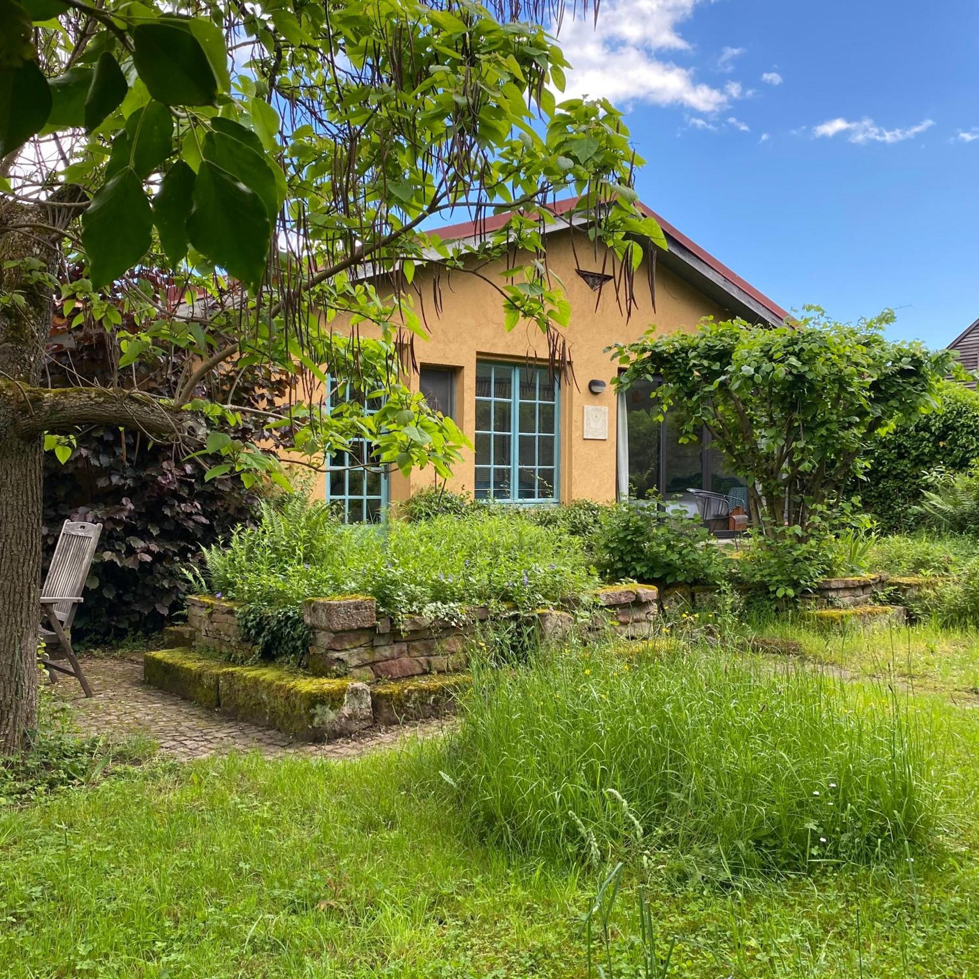 Ecologis Du Vignoble Villa Katzenthal Exterior foto