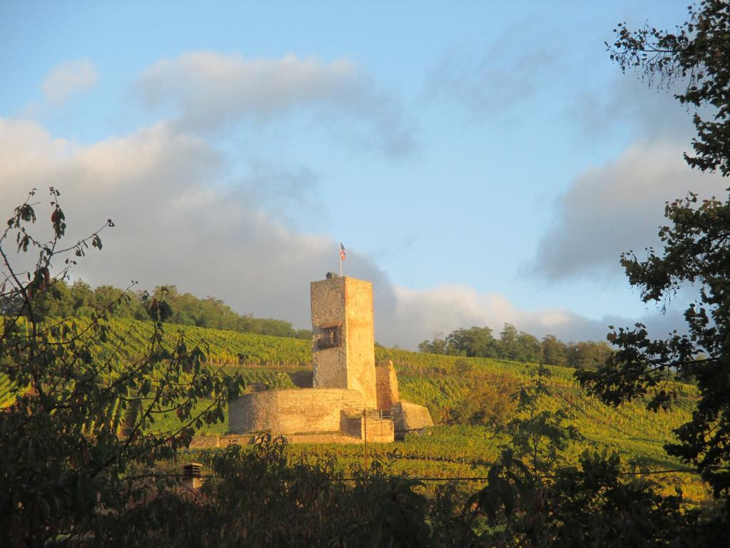 Ecologis Du Vignoble Villa Katzenthal Exterior foto