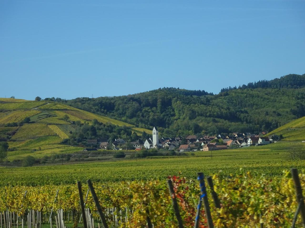 Ecologis Du Vignoble Villa Katzenthal Exterior foto